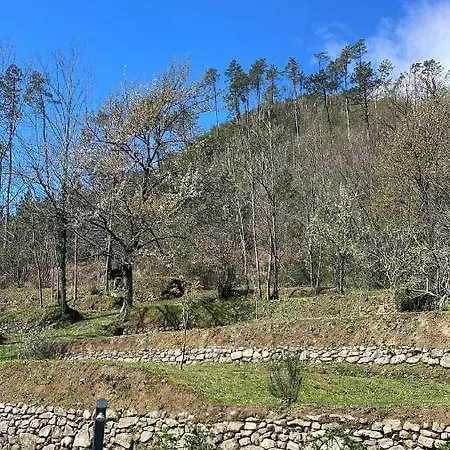 Delle Rose Cinque Terre Villa